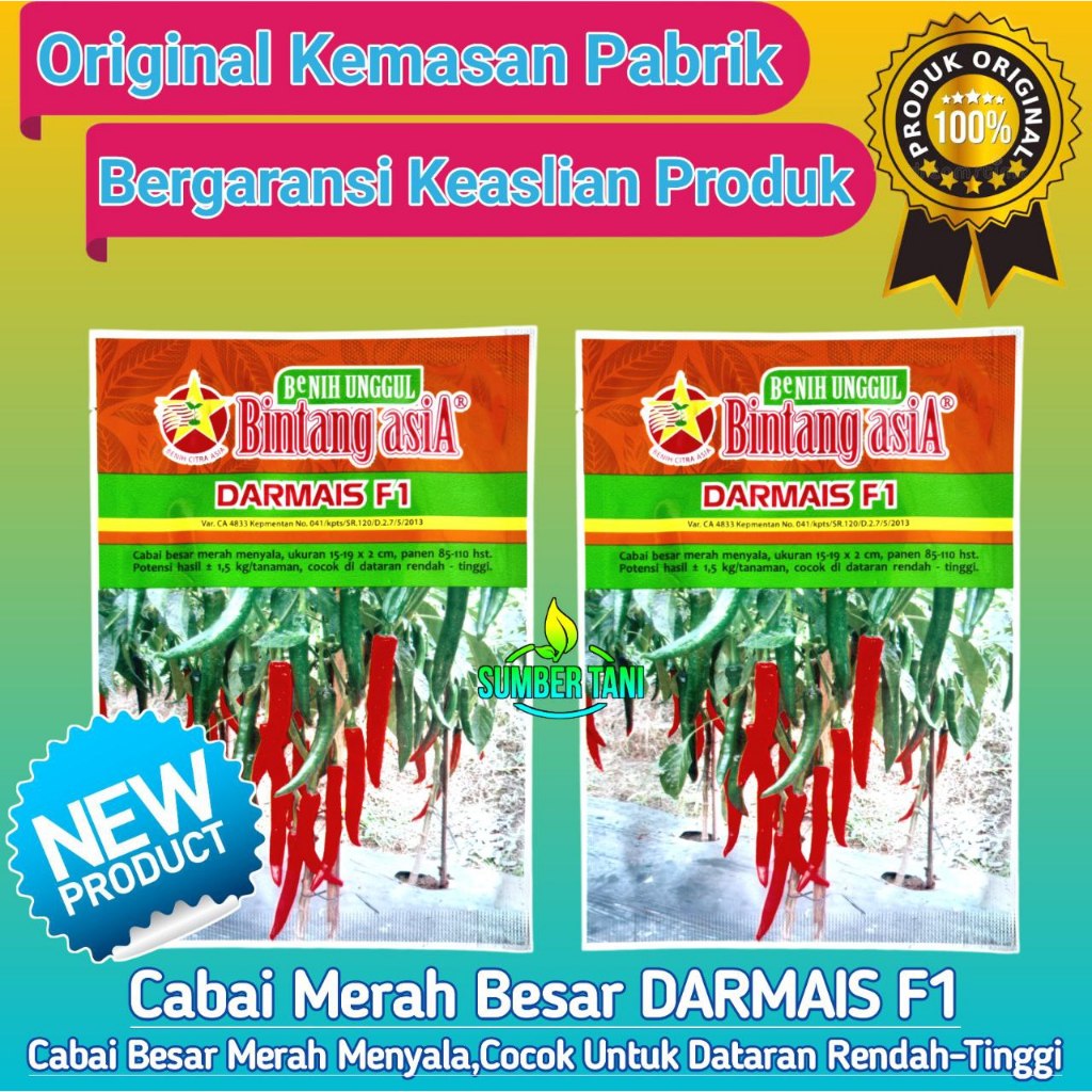 

CABAI BESAR DARMAIS F1 | 10gr | CABE HIBRIDA BESAR WARNA MERAH TERANG | BINTANG ASIA