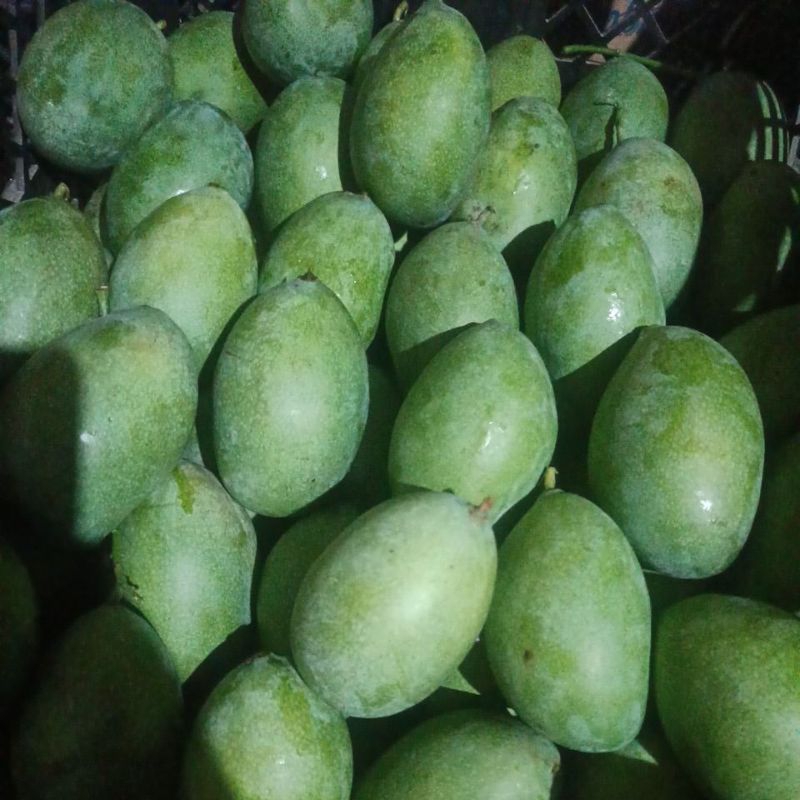 

Mangga Manalagi Madu 1kg isi 5-6 Buah