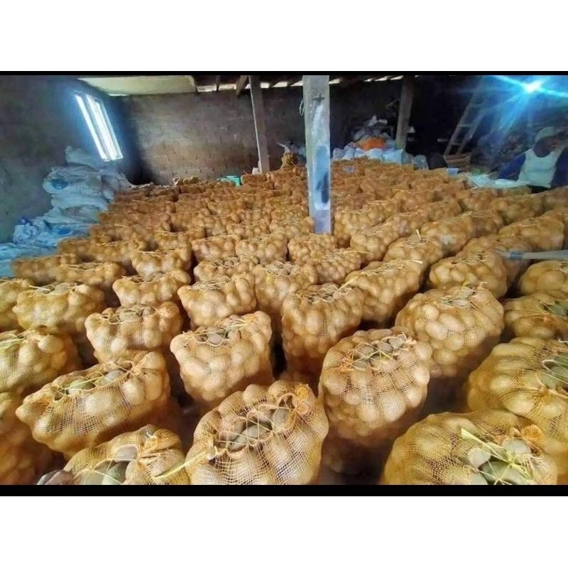 

kentang super 1kg isi 4-5