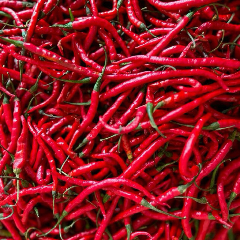 

Cabai Merah Keriting Segar | CMK | Kemasan 1kg