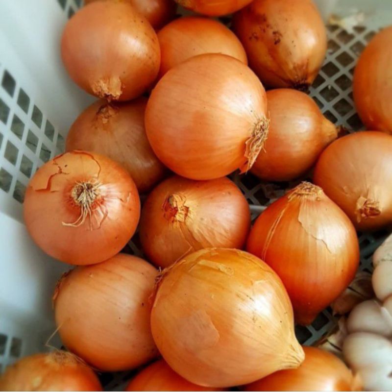 

Bawang bombay