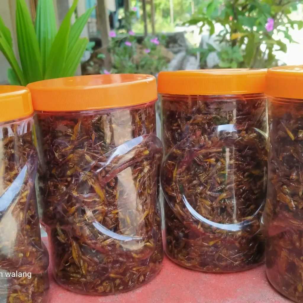 

BELALANG GORENG UTIS KRIUK RENYAH CEMILAN KEKINIAN RASA MANTUL