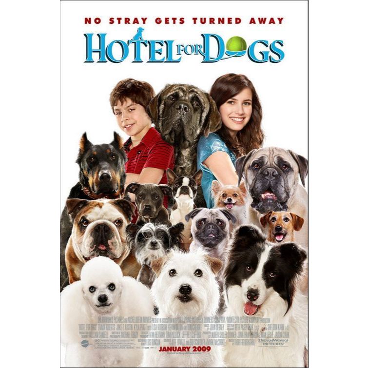 Film Dvd Hotel for Dogs 2009 teks Indonesia