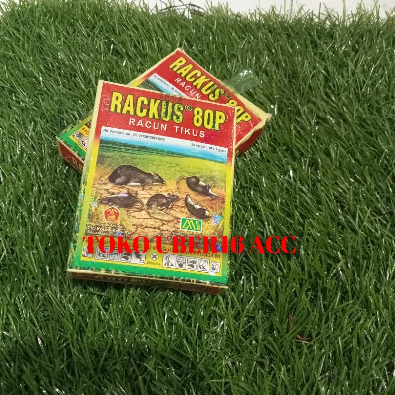 rakus racun tikus pembasmi hama tikus racun ampuh racun tikus got racun tikus sawah