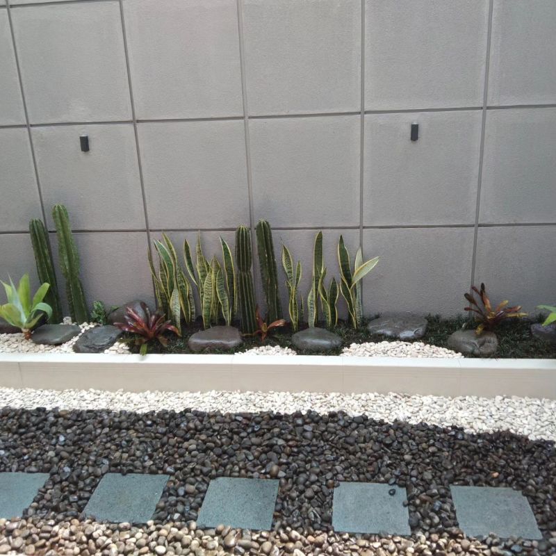 Terbaru pembuatan taman kering/taman batu coral/jasa tukang taman