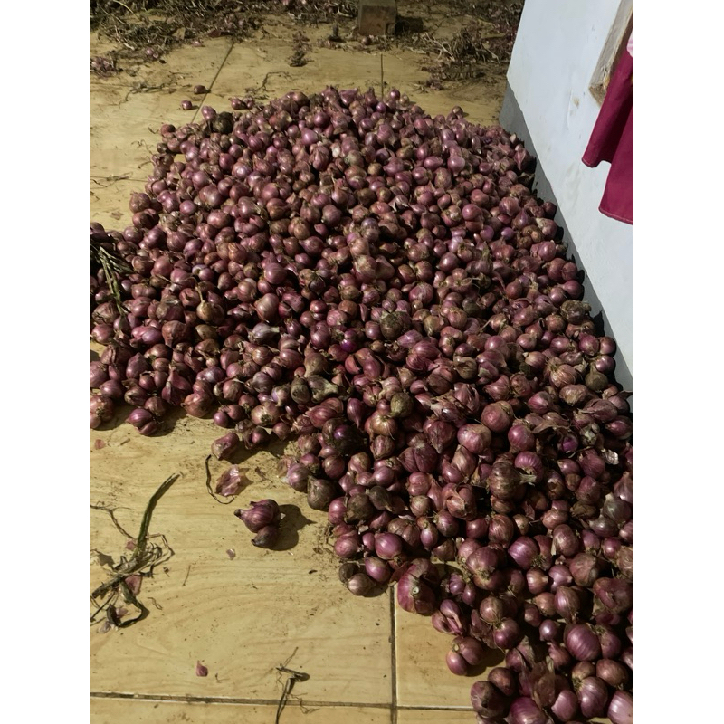 

Bawang merah