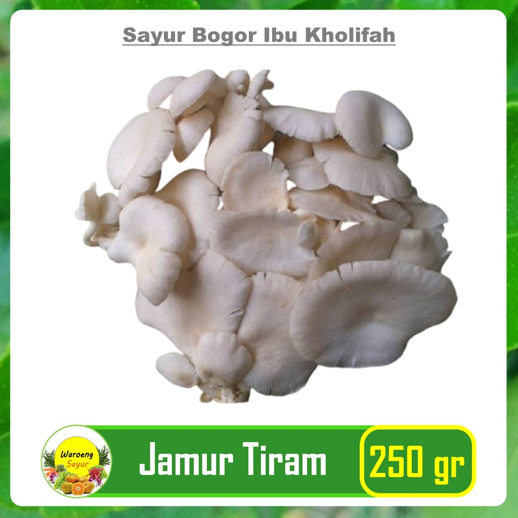 

Jamur Tiram Putih 250 Gram Sayur Sayuran Online Segar Bogor Freshmart