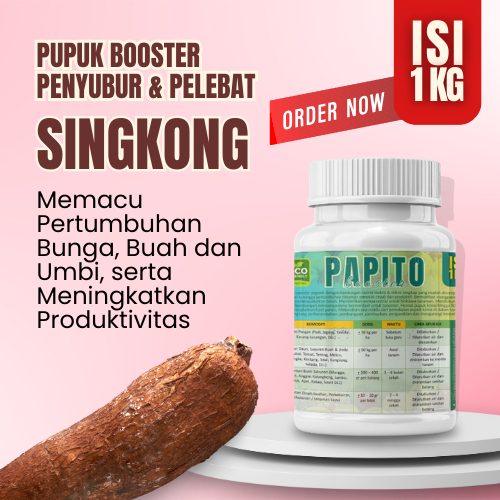 Pupuk Umbi Singkong Booster Pembesar Umbi Perangsang Akar Penyubur Daun Pemacu Tumbuh ZPT Organik