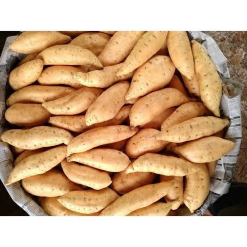 

ubi cilembu ORGANIK 500G