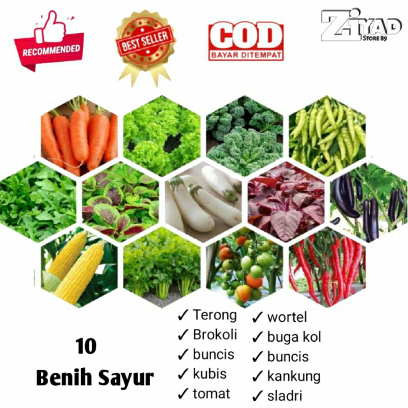 Benih sayur mayur 10 macam