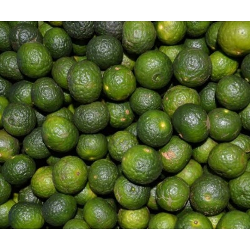 

SisumaFresh Jeruk Limau Hijau 1 Kg