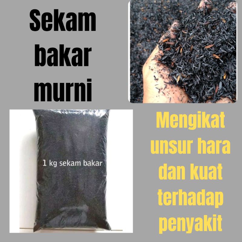 TERLARIS.. Sekam Bakar Halus 1kg
