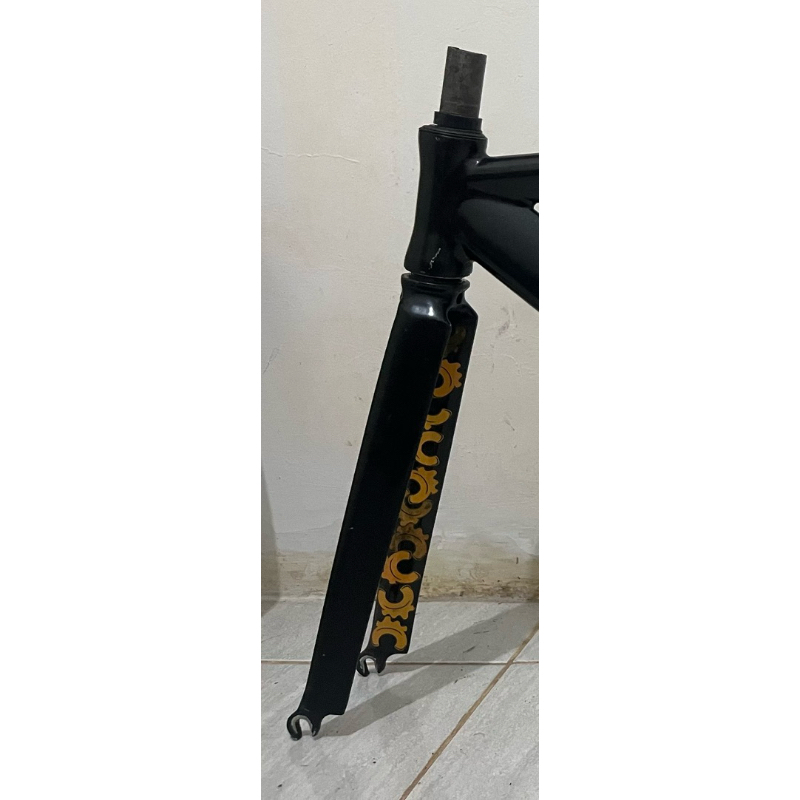 Fork Pco Lite, bukan tsunami ardently mosso