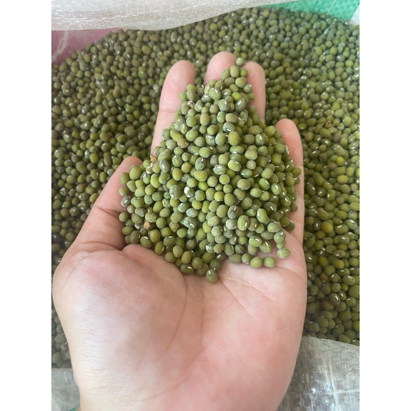 

KACANG IJO SUPER