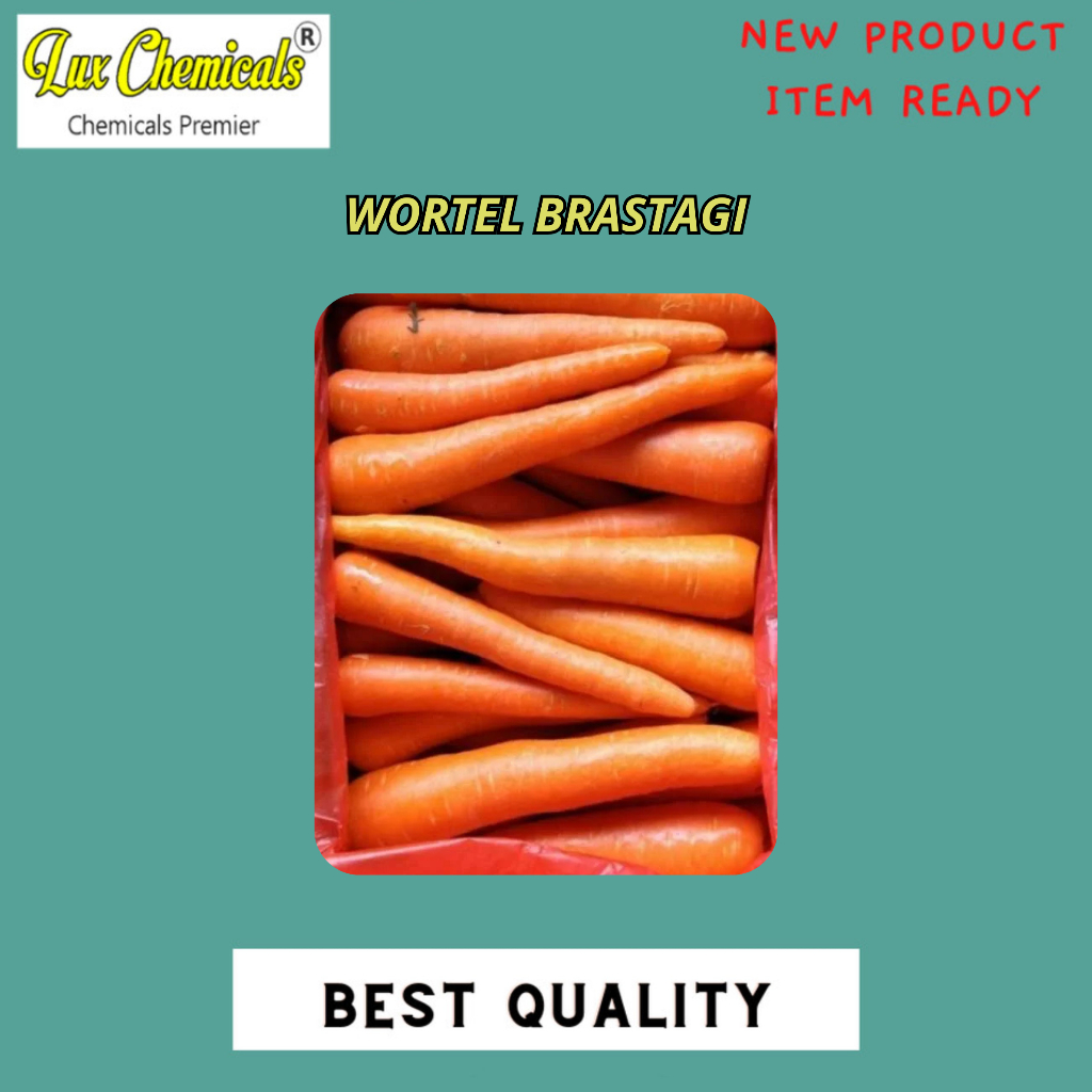 

WORTEL BRASTAGI BEST SELLER 500 GRAM DAN 1000 GRAM
