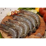 

udang pancet kecil 500 gram