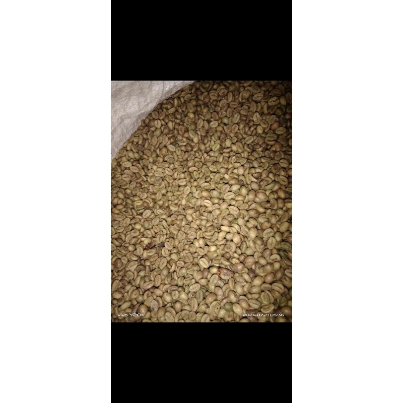 

kopi robusta asli TEMANGGUNG