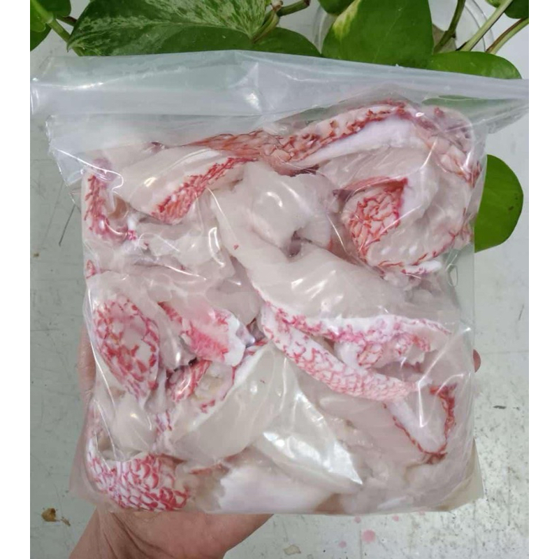 

Tetelan Kakap Merah 500gr