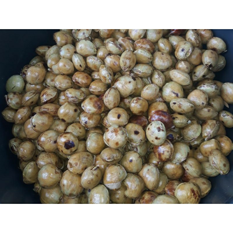 

JENGKOL YANG SUDAH TUA ½ KG