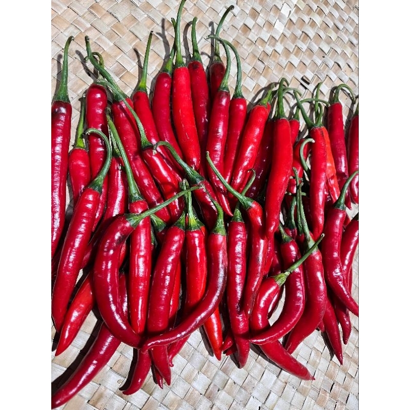 

CABAI BESAR MERAH berat 500gr Banyuwangi