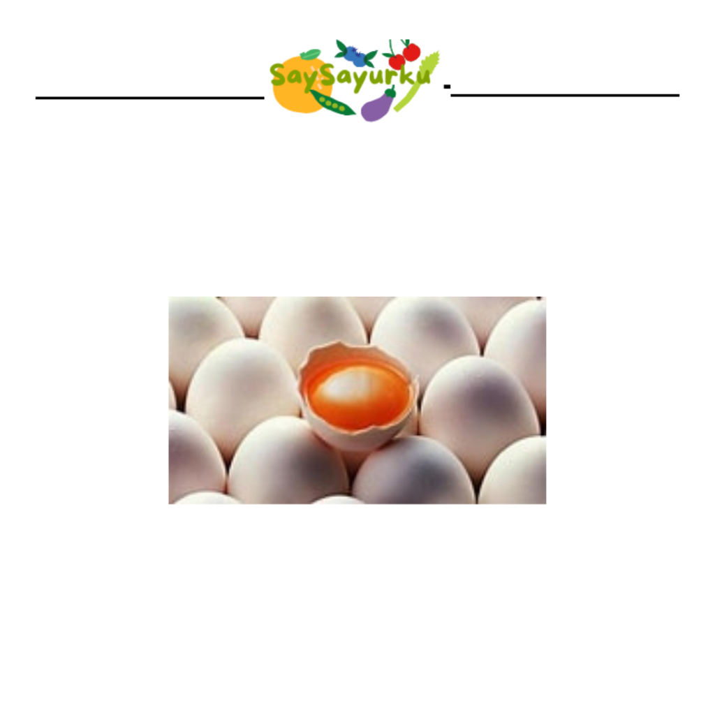 

TELUR AYAM KAMPUNG MENTAH