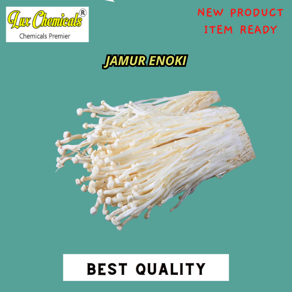 

JAMUR ENOKI ASTRONOT BEST SELLER 1 PCS