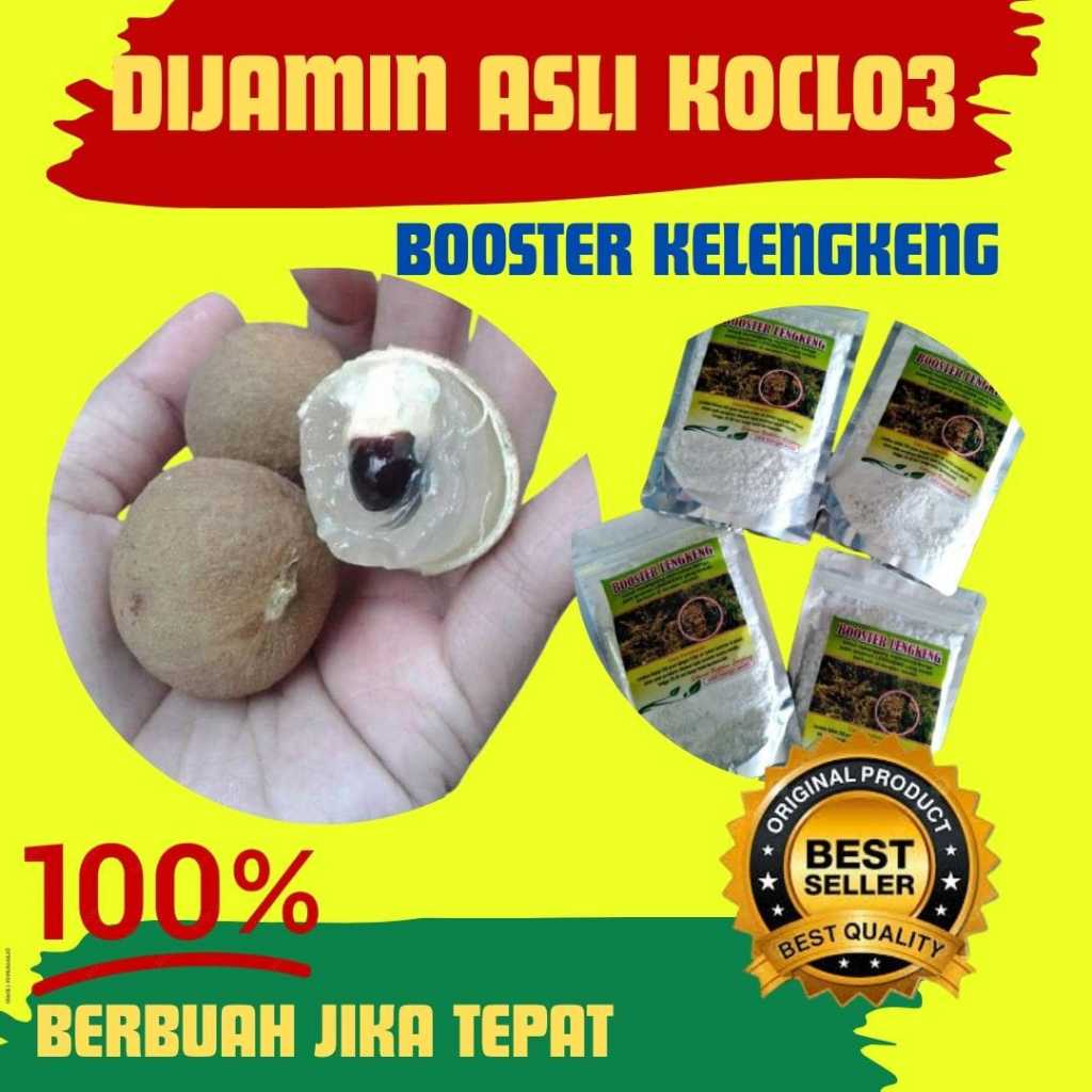 Booster kelengkeng cepat berbuah, Booster kelengkeng kclo3 murni, Booster kelengkeng murni