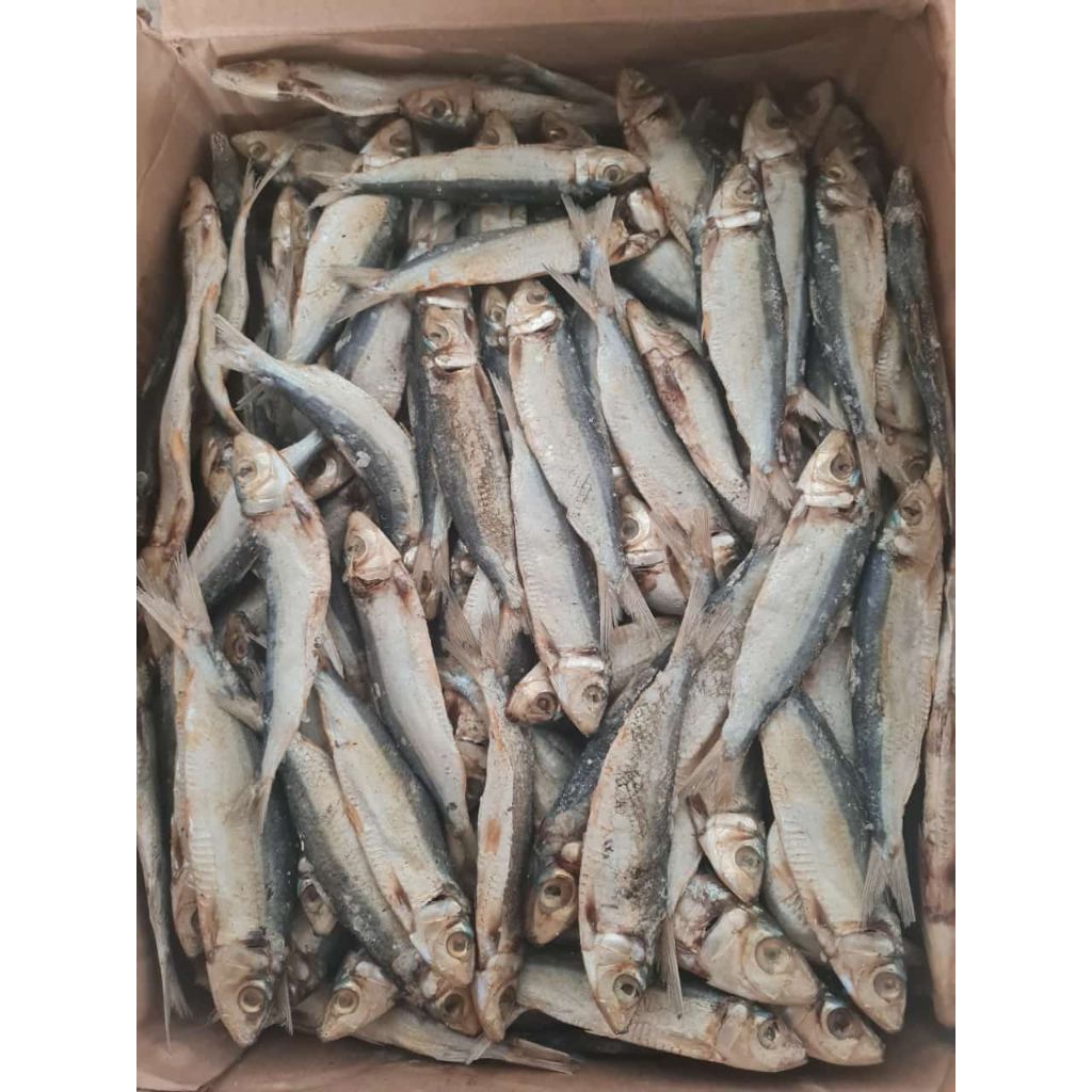 

JAPU (IKAN ASIN) 1 Bungkus