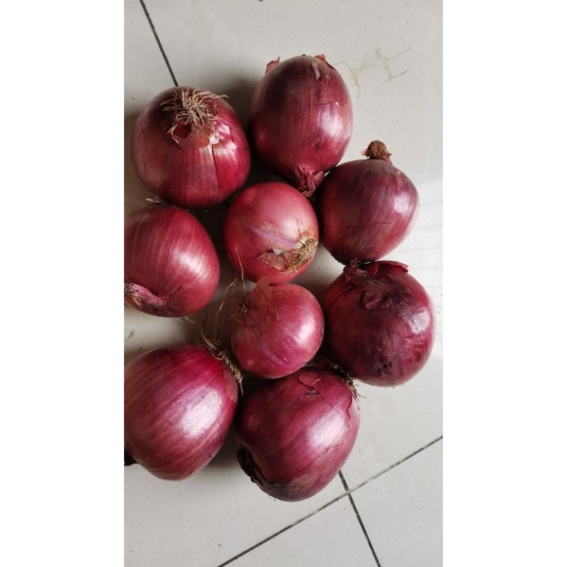 

Red Onion - Bawang Bombay Merah - Bombay Ungu - Bawang Merah India - Bawang Peking - Fresh - per KG