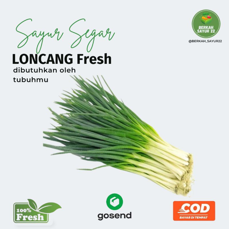 

BERKAH_SAYUR22 Loncang fresh