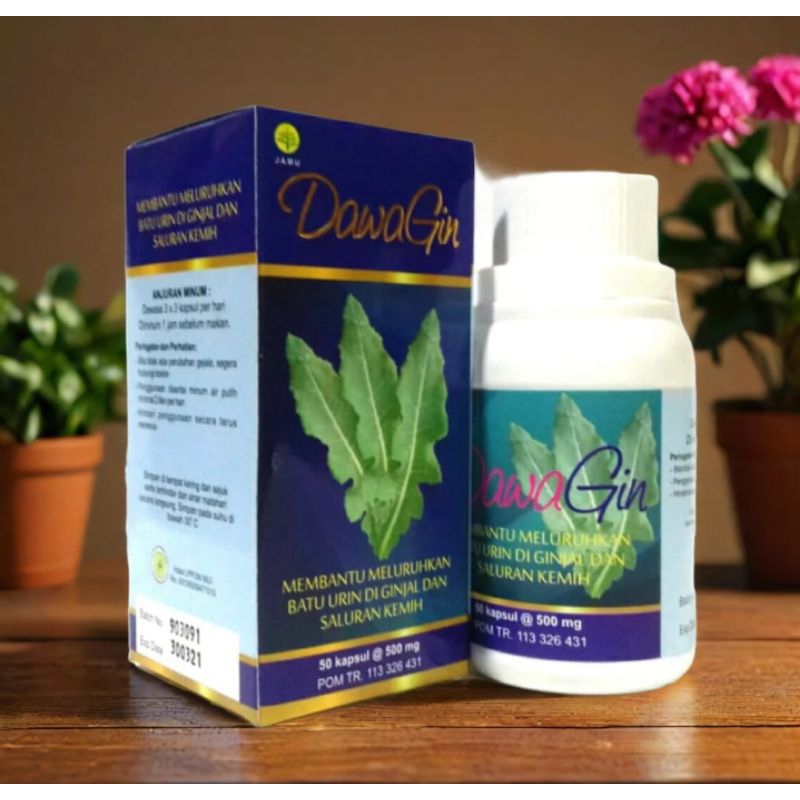 

Dawangin Toga Herbal Peluruh Batu Ginjal Saluran Kemih