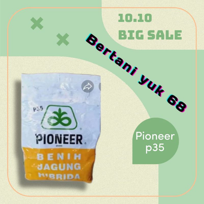bibit jagung PIONEER p35.  1kg