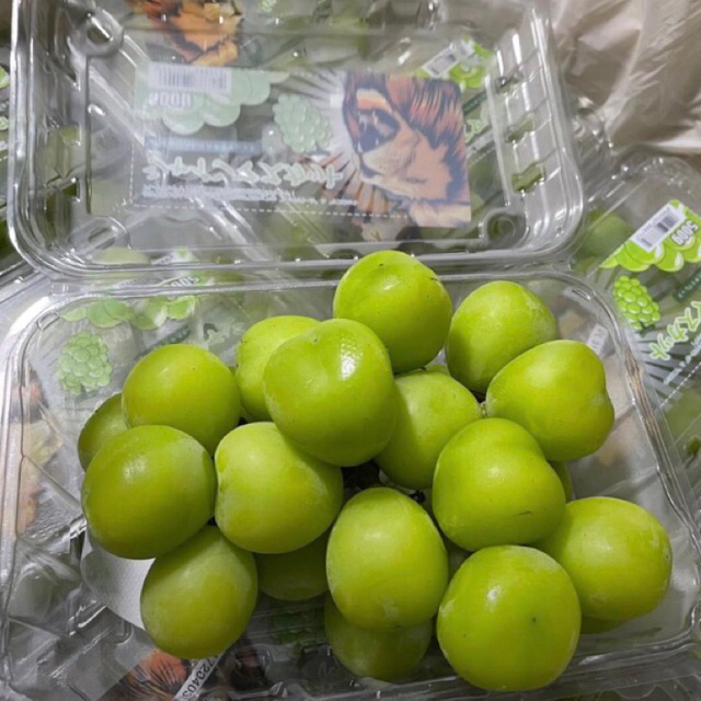 

Anggur Shine Muscat Lion Premium 500gr