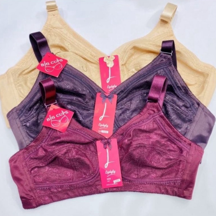 Dijamin Irit BRA Lydyly L23 CUP BESAR KAIT 3
