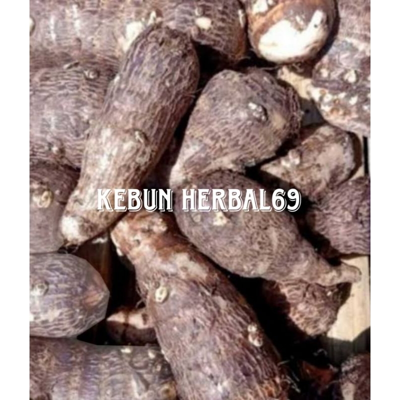 

Promo paket 5kg umbi talas pullen murah