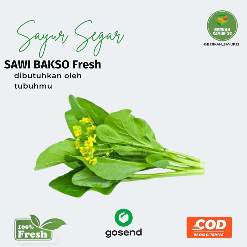 

BERKAH_SAYUR22 Sawi Bakso Fresh