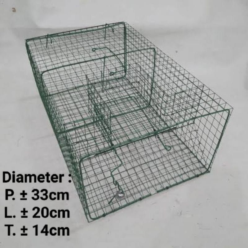 jebakan tikus MASAL kawat