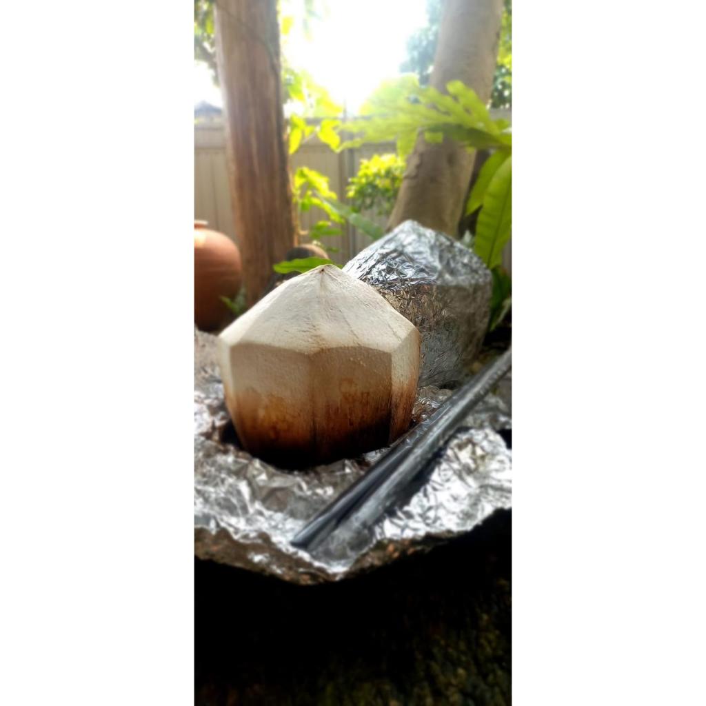 

Kelapa Muda Bakar ( per 3 batok ) FREE ALAT TUSUK KELAPA