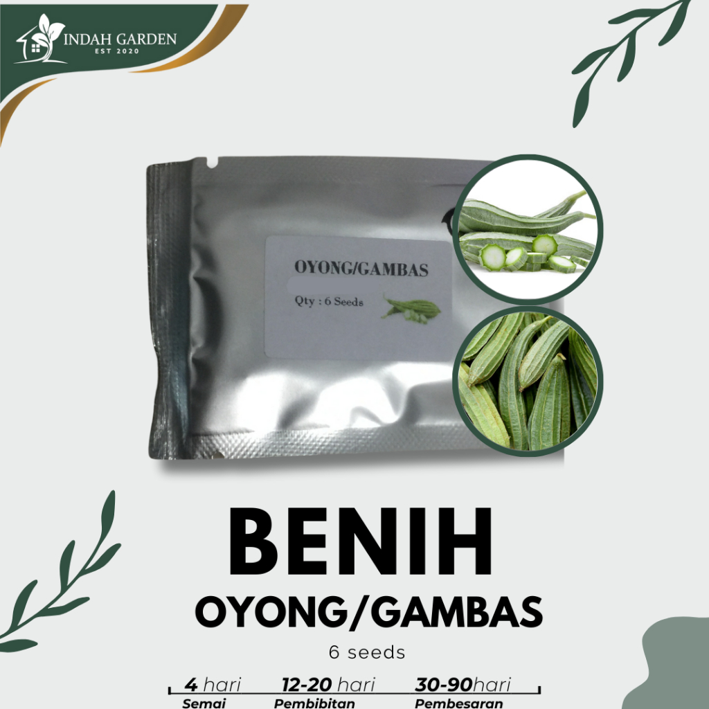 

Purie - Oyong / Gambas F1- 6 benih