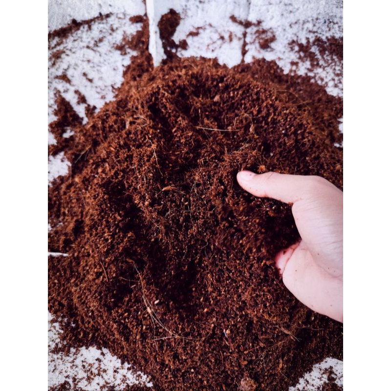 Cocopeat serabut kelapa 1kg