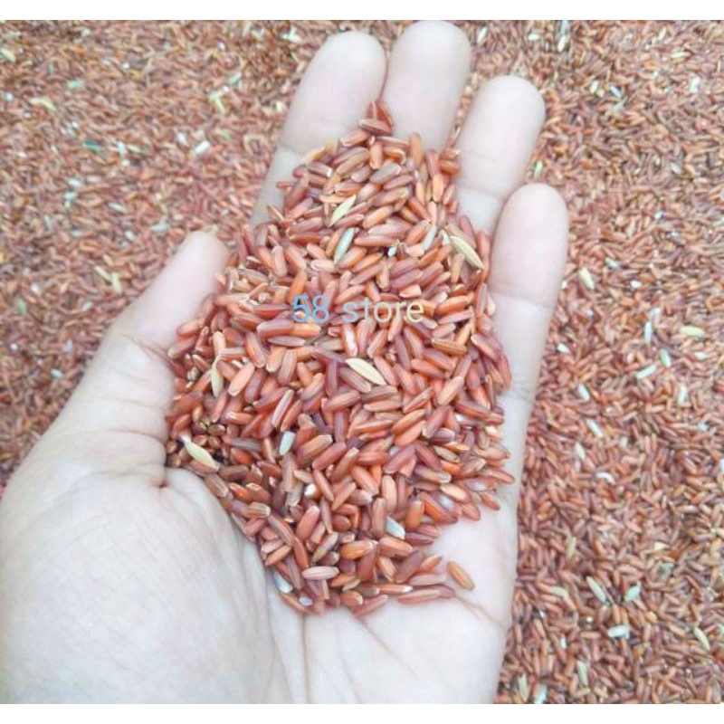 

Beras merah murah berkualitas untuk pakan Ternak