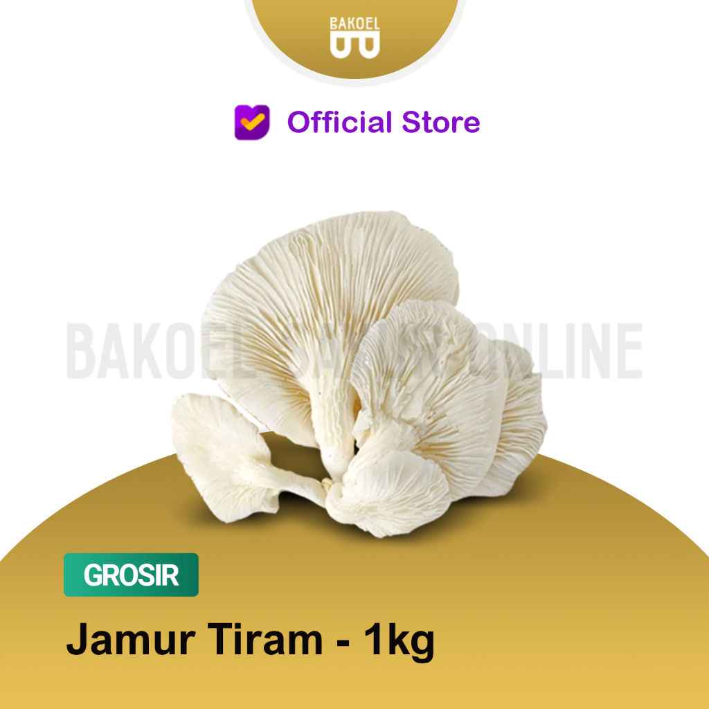 

Jamur Tiram - Grosir 1 Kg