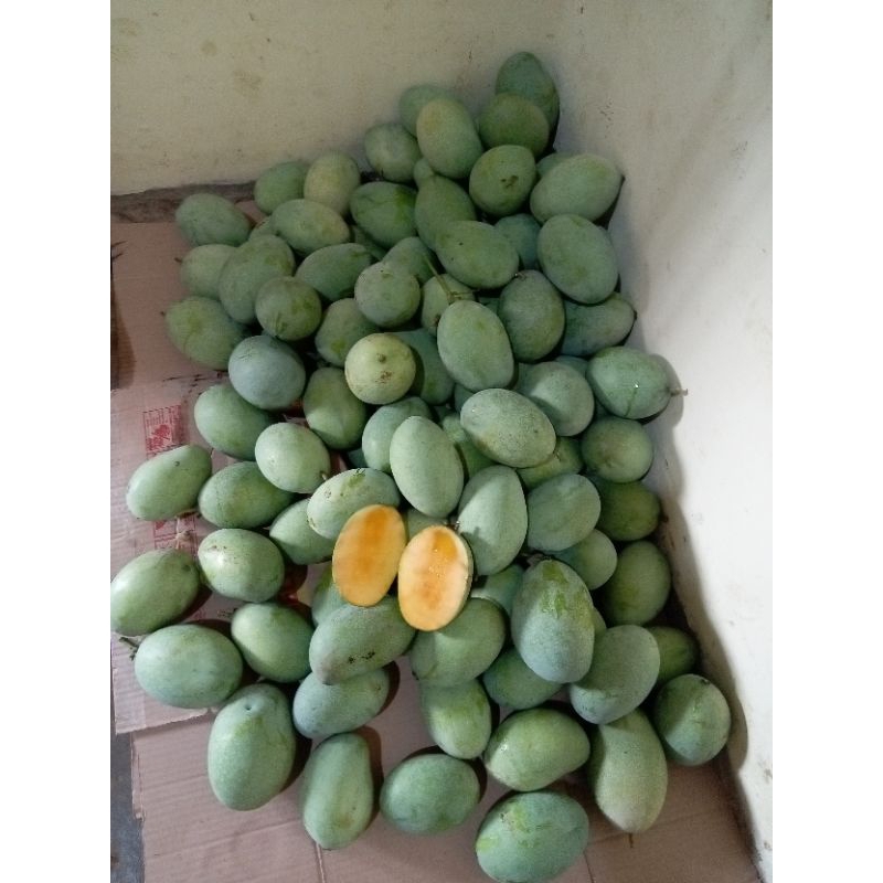 

Mangga Manalagi madu