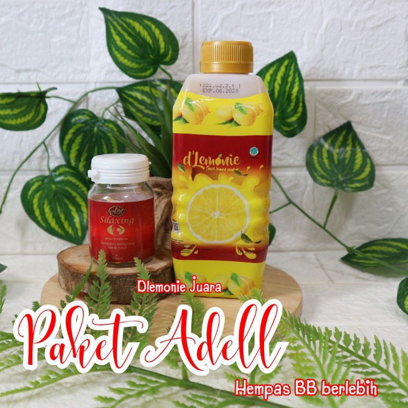 Paket dlemonie dan Apell Silaxing 2/Paket Adell Silaxing 2/Paket Apell Silaxing 2 dan Dlemonie