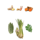 

Paket Sayur Bumbu Dapur - Lengkap [1 Pack] - Ready to Cook