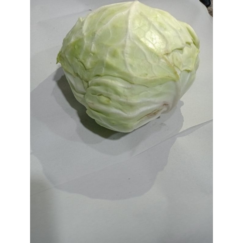 

kolputih/500g(pcs+Peking)