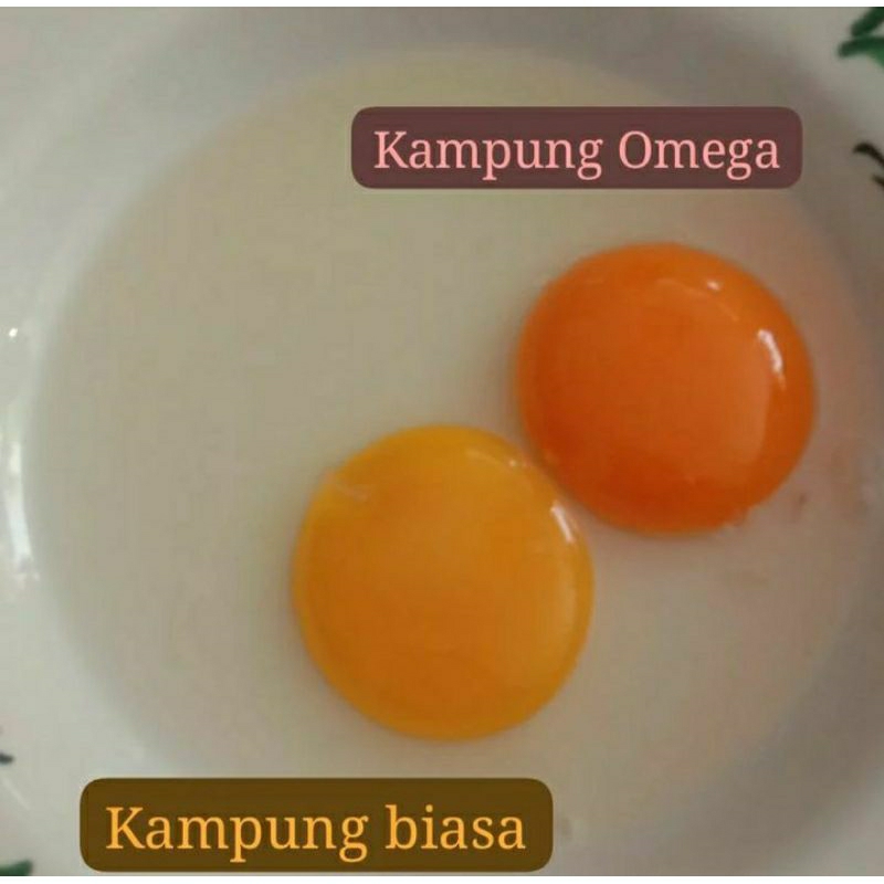 

[30 butir] Telur Ayam Kampung Omega - dapoer mami | Sehat dan Bernutrisi