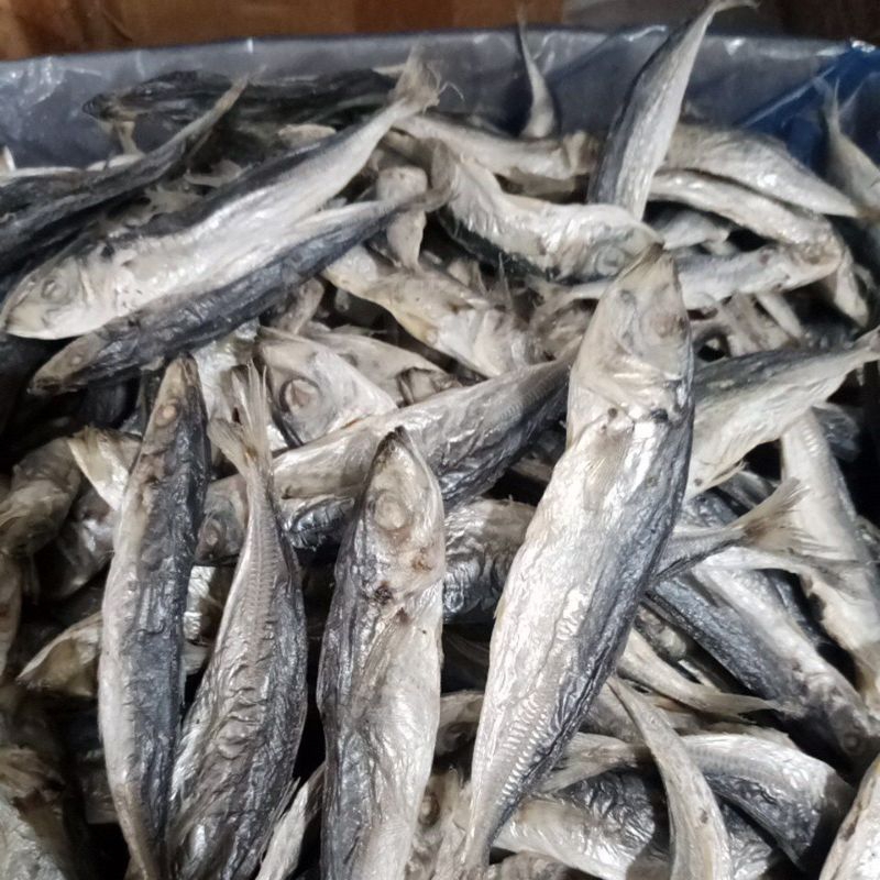 

ikan asin dencis