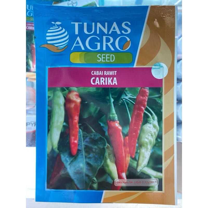Benih Cabai CARIKA Tunas Agro