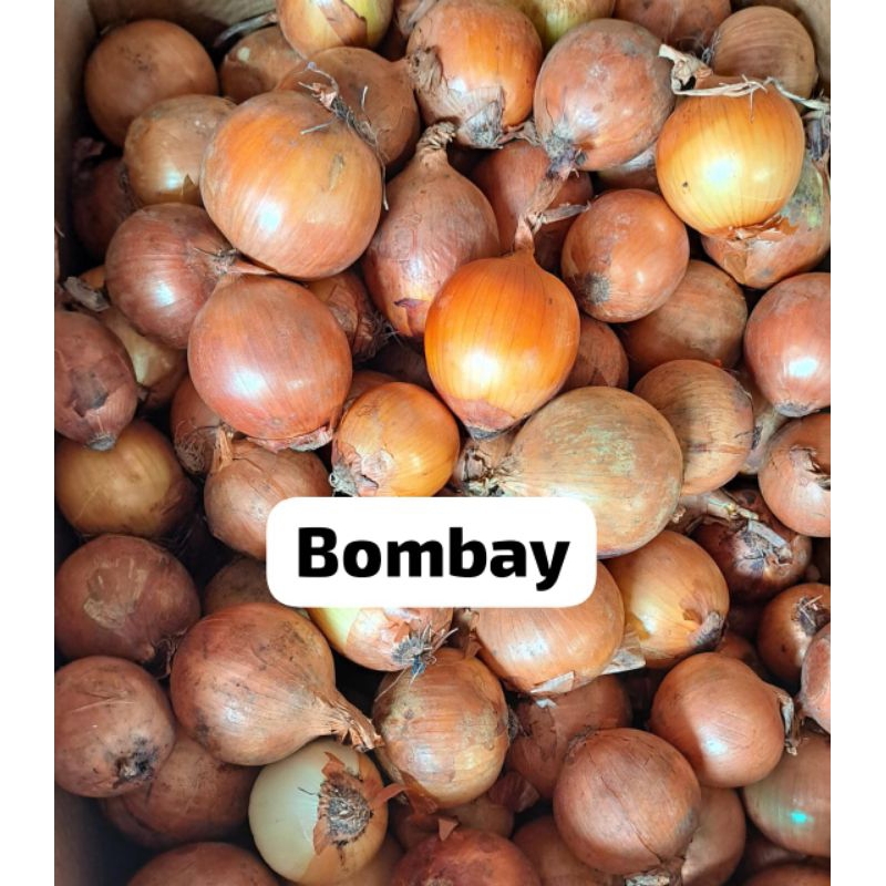 

Bawang Bombay 1kg